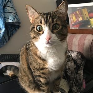 Meet your Posher, Lisette